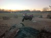 IMG-20171230-WA0014.jpg