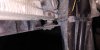 IMG-20181212-WA0075.jpeg