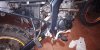 IMG-20181212-WA0090.jpeg