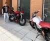 motos 8.jpg