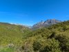 IMG-20250524-WA0012.jpg