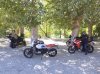 IMG_2549.jpeg