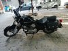 IMG_20231015_103659.jpg