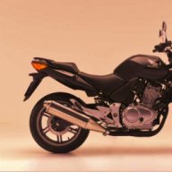 danienmotocbf
