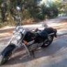 fer_aquila125