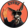 eloyfv