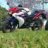 Vicent7297